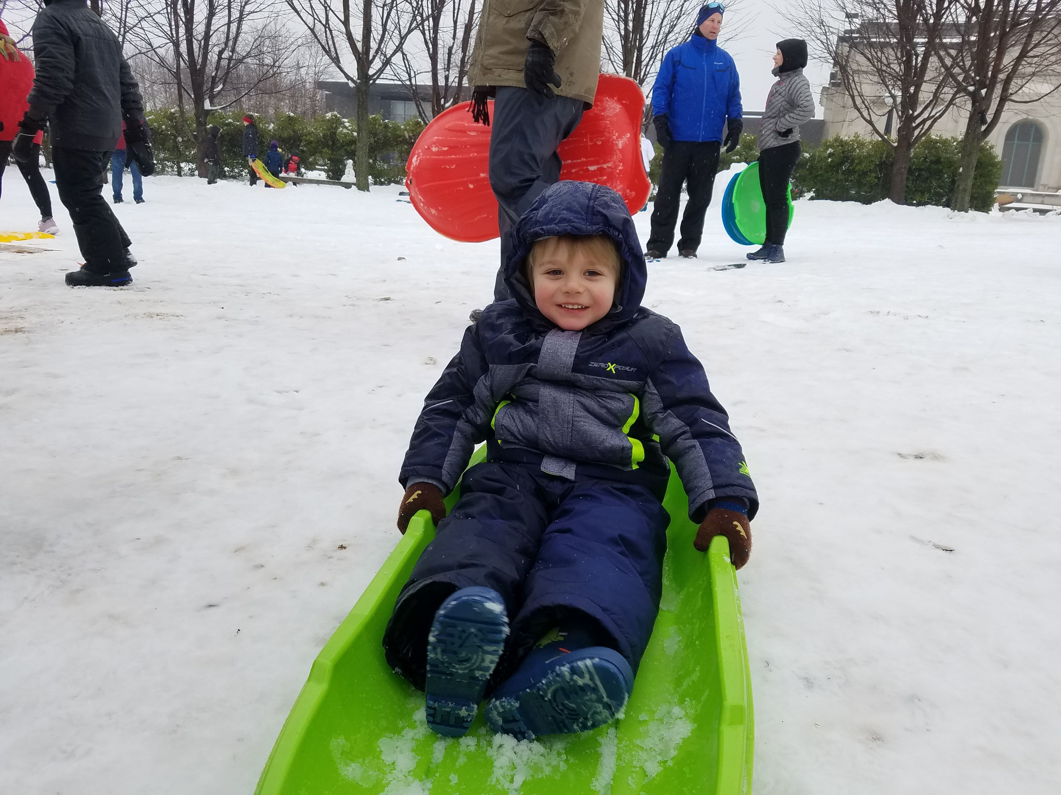 Sledding at Art Hill